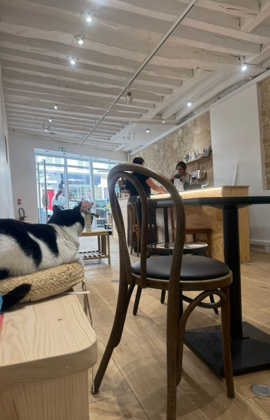 caff299f-8e28-4bb2-a606-70b201fa20a8